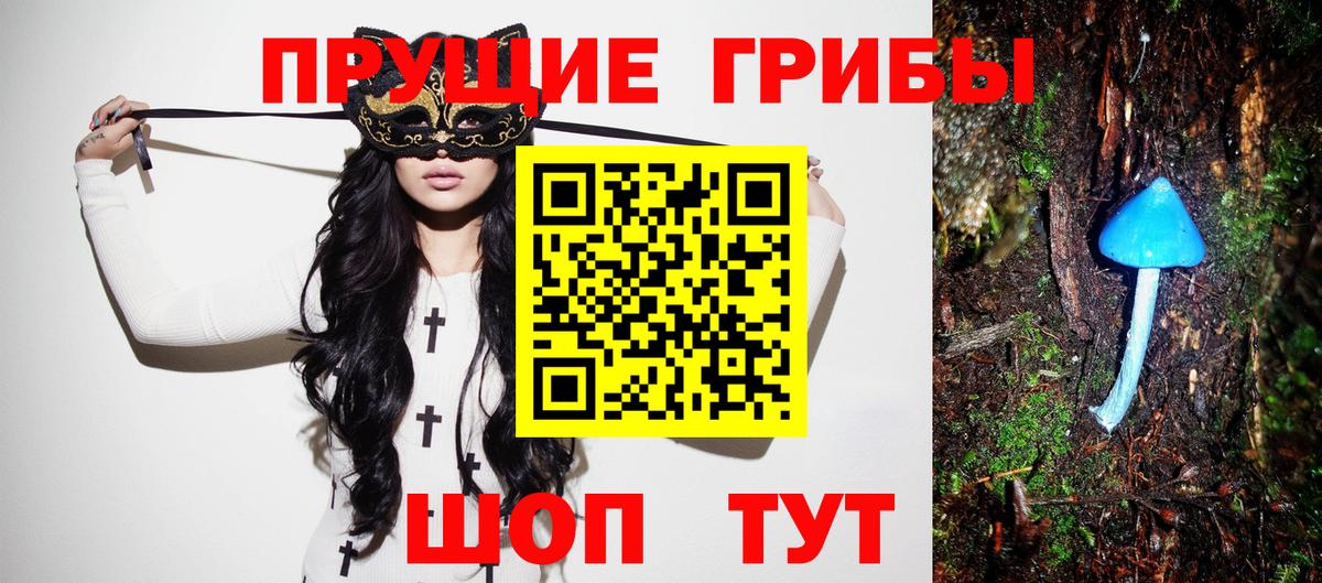 Псилоцибиновые грибы GOLDEN TEACHER Ликино-Дулёво