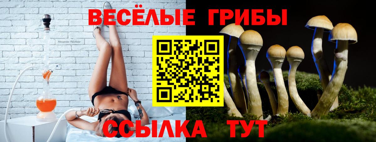 Ликино-Дулёво  Псилоцибиновые грибы мицелий  Вход с VPN 